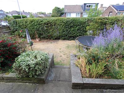Picture 17